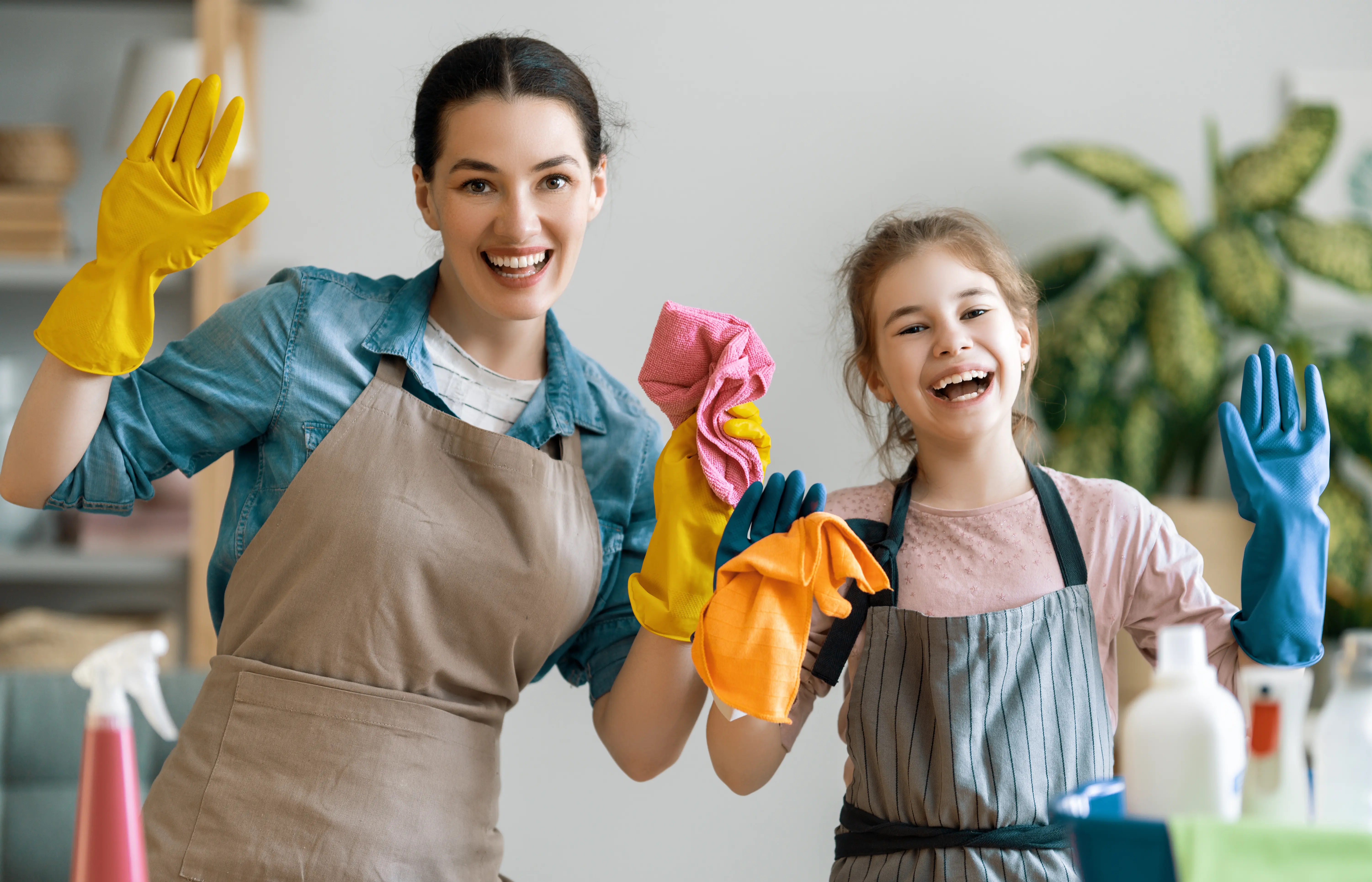 family cleaning