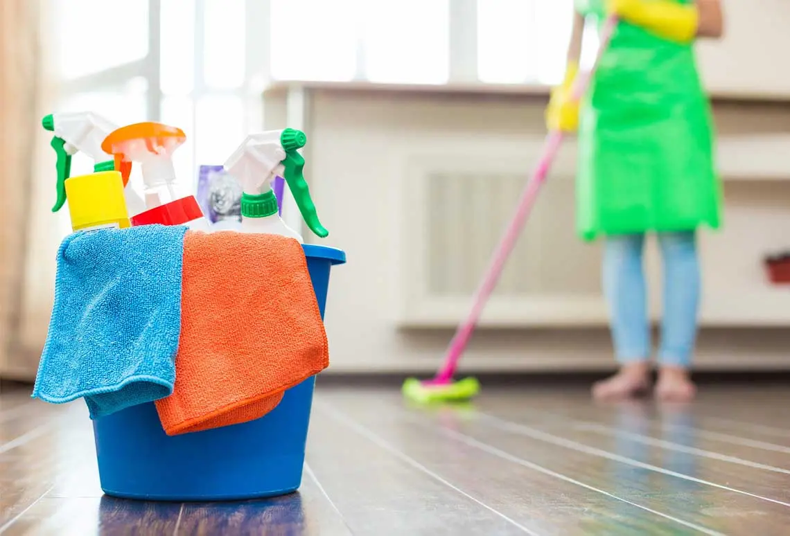 standard cleaning supplies